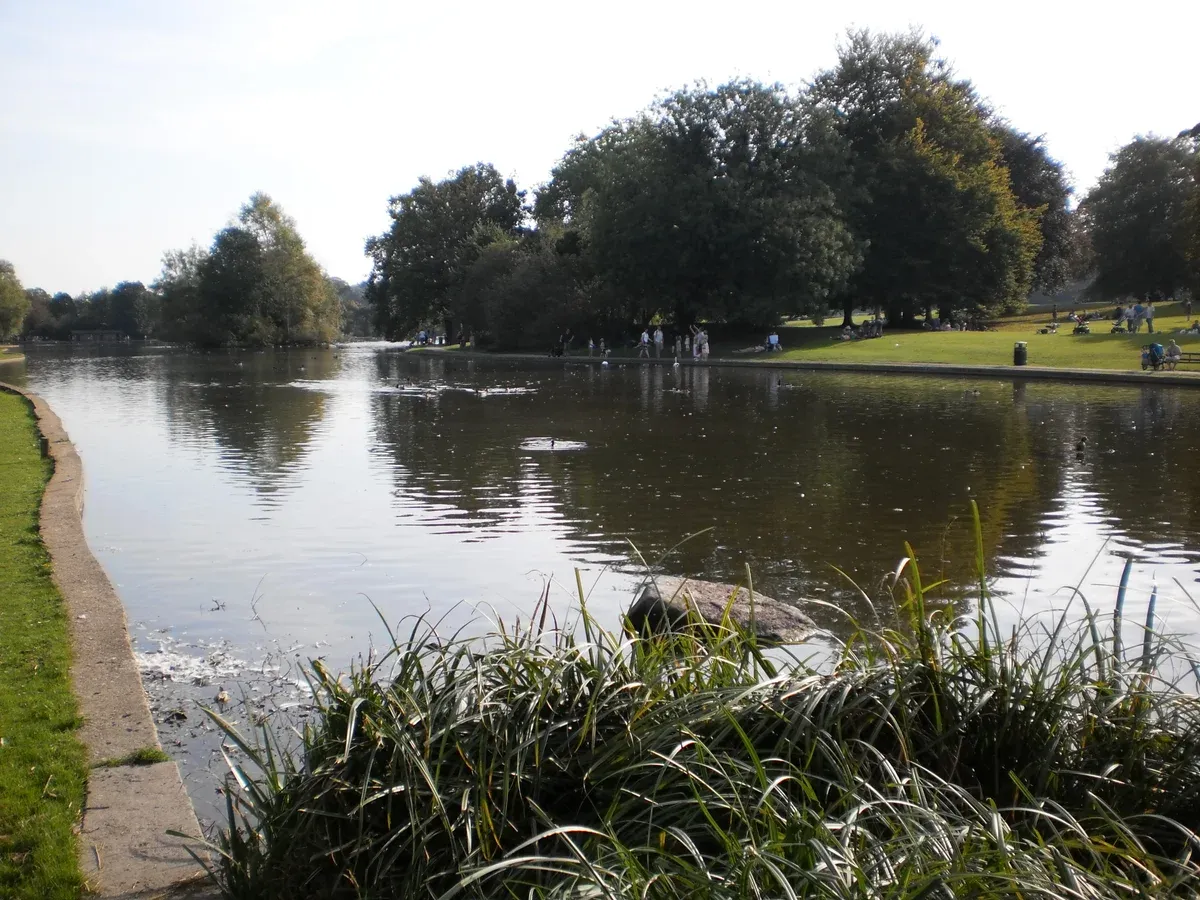 Lake in Verulamium Park in St Albans on a day trip from London